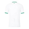 Jalkapallo Pelipaidat/Peliasut Irlanti Vieraspelipaita 2023